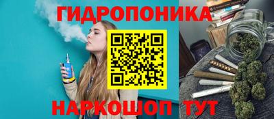тгк Новозыбков