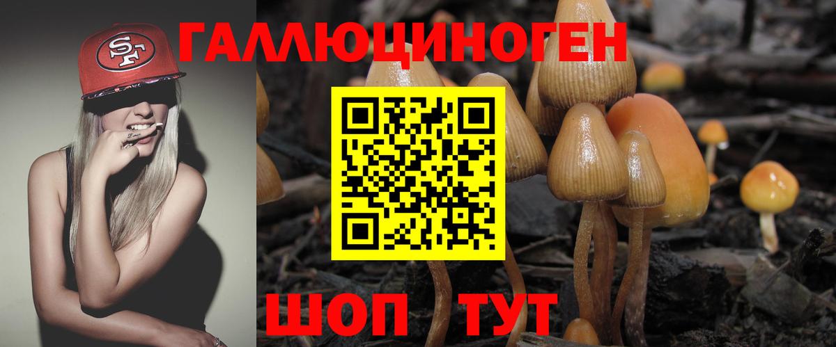 Галлюциногенные грибы Psilocybine cubensis Сердобск